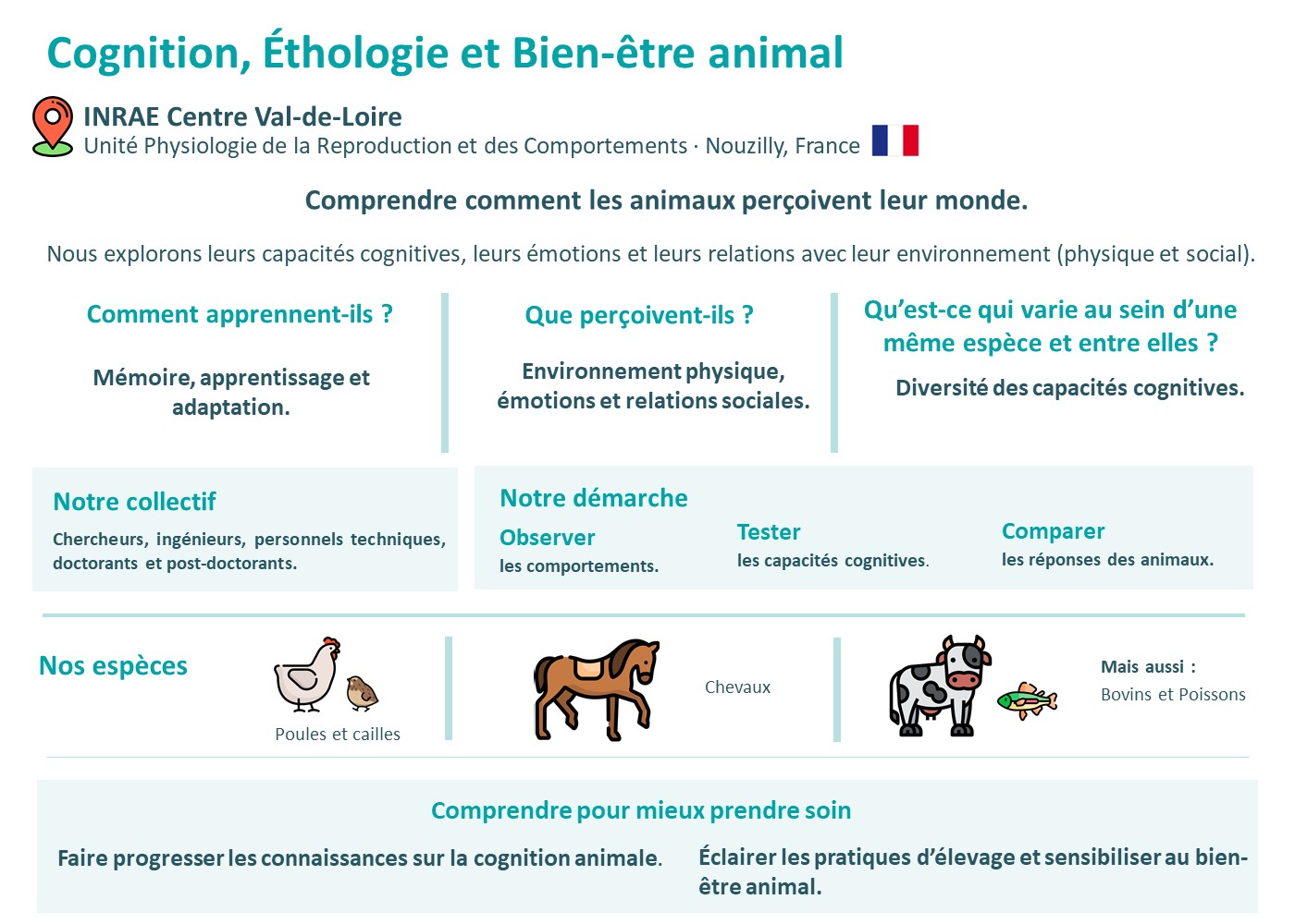 CEB-4-figures-modifiables-PowerPoint.jpg